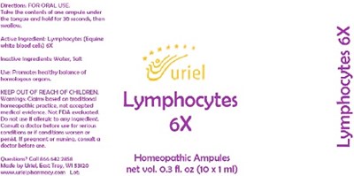 Lymphocytes 6x Ampules (Lymphocytes 6x Ampules)
